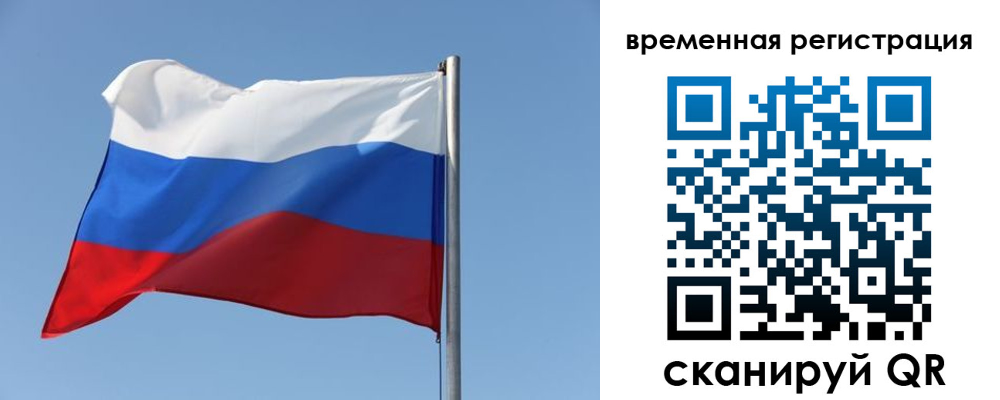 временная регистрация поиск в Щиграх